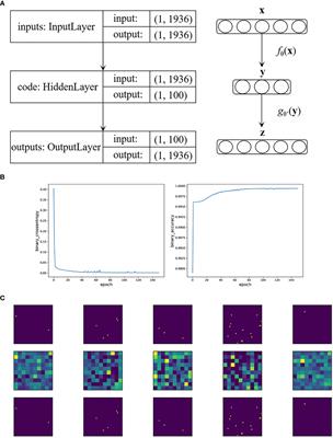 Efficient feature extraction from highly sparse binary genotype data for cancer prognosis prediction using an auto-encoder